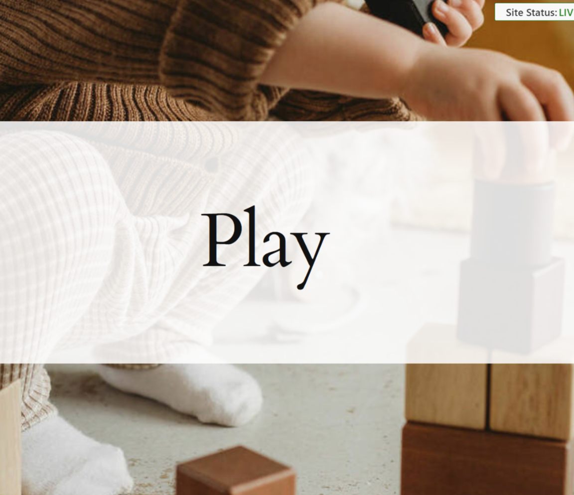 Monthly PLAY Membership SIBLING RATE